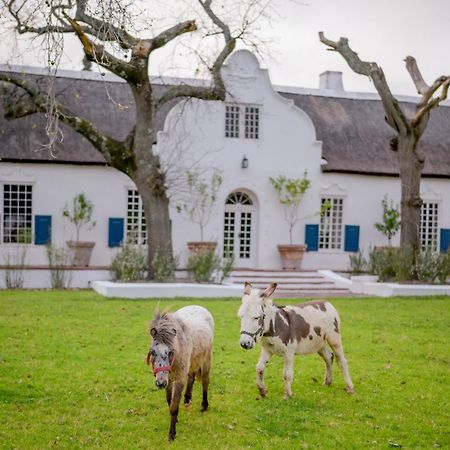 San Gabriel Homestead Somerset West Kültér fotó