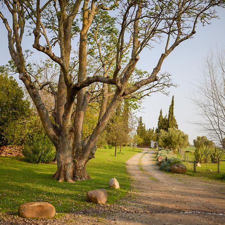 San Gabriel Homestead Somerset West Kültér fotó