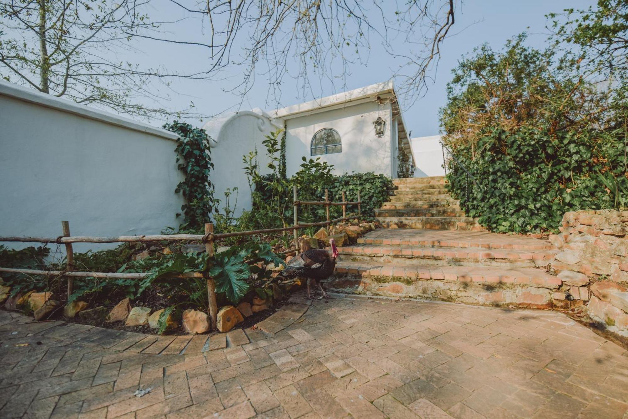 San Gabriel Homestead Somerset West Kültér fotó